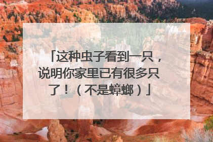 这种虫子看到一只，说明你家里已有很多只了！（不是蟑螂）