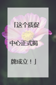 这个质促中心正式揭牌成立！