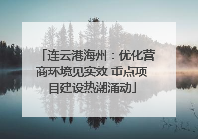 连云港海州：优化营商环境见实效 重点项目建设热潮涌动