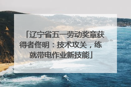 辽宁省五一劳动奖章获得者佟明：技术攻关，练就带电作业新技能