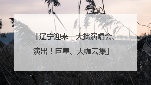 辽宁迎来一大批演唱会、演出！巨星、大咖云集