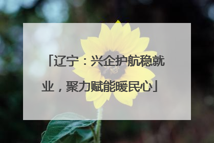 辽宁：兴企护航稳就业，聚力赋能暖民心