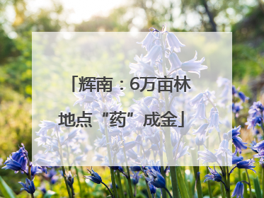 辉南：6万亩林地点“药”成金
