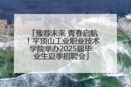 豫荐未来 青春启航！平顶山工业职业技术学院举办2025届毕业生夏季招聘会