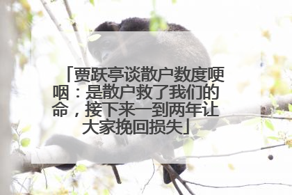 贾跃亭谈散户数度哽咽：是散户救了我们的命，接下来一到两年让大家挽回损失