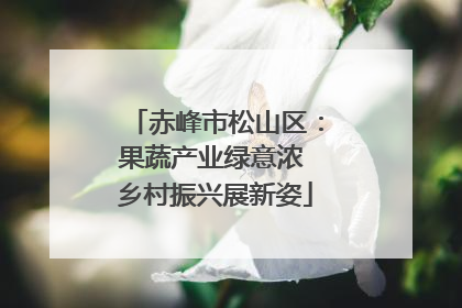 赤峰市松山区：果蔬产业绿意浓 乡村振兴展新姿