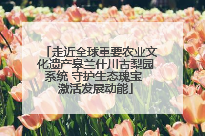 走近全球重要农业文化遗产皋兰什川古梨园系统 守护生态瑰宝 激活发展动能