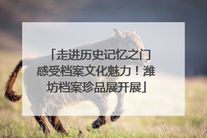 走进历史记忆之门 感受档案文化魅力！潍坊档案珍品展开展