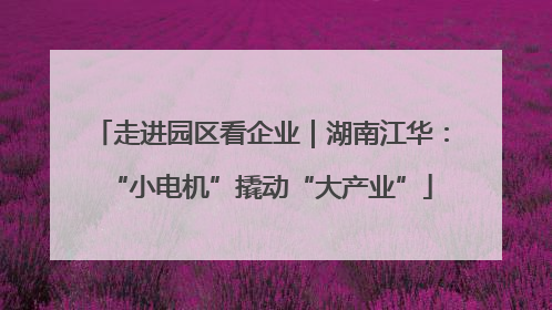 走进园区看企业｜湖南江华：“小电机”撬动“大产业”
