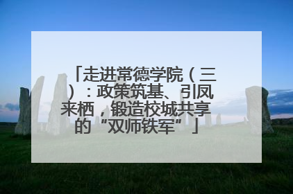 走进常德学院（三）：政策筑基、引凤来栖，锻造校城共享的“双师铁军”