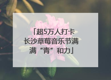 超5万人打卡 长沙草莓音乐节满满“青”和力