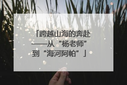 跨越山海的奔赴——从“杨老师”到“海河阿帕”