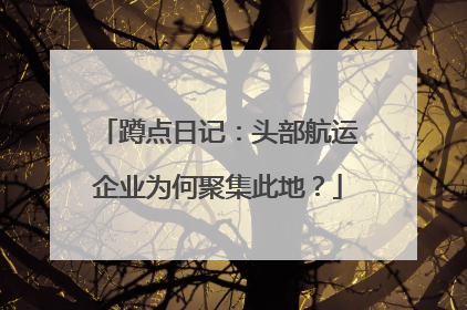 蹲点日记：头部航运企业为何聚集此地？