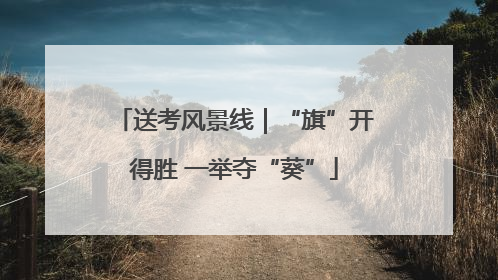 送考风景线｜“旗”开得胜 一举夺“葵”