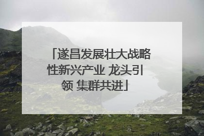 遂昌发展壮大战略性新兴产业 龙头引领 集群共进