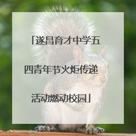 遂昌育才中学五四青年节火炬传递活动燃动校园