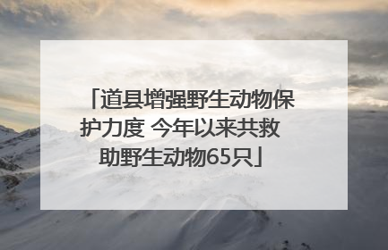 道县增强野生动物保护力度 今年以来共救助野生动物65只