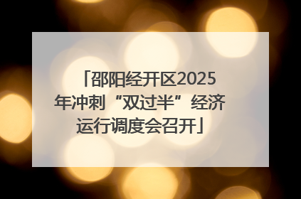 邵阳经开区2025年冲刺“双过半”经济运行调度会召开