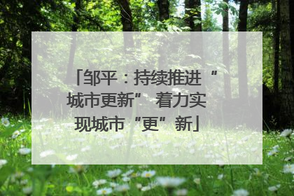 邹平：持续推进“城市更新” 着力实现城市“更”新