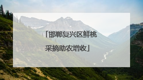邯郸复兴区鲜桃采摘助农增收