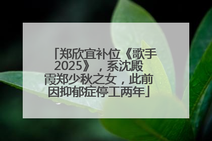 郑欣宜补位《歌手2025》，系沈殿霞郑少秋之女，此前因抑郁症停工两年