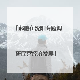 郝鹏在沈阳专题调研民营经济发展