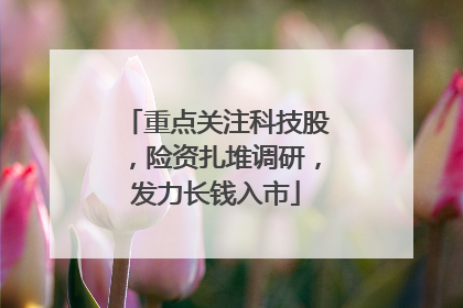 重点关注科技股，险资扎堆调研，发力长钱入市