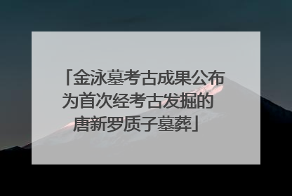 金泳墓考古成果公布 为首次经考古发掘的唐新罗质子墓葬