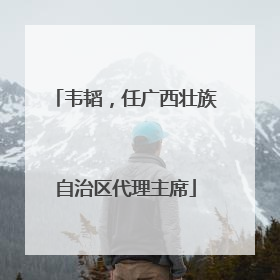 韦韬，任广西壮族自治区代理主席