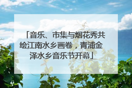 音乐、市集与烟花秀共绘江南水乡画卷，青浦金泽水乡音乐节开幕