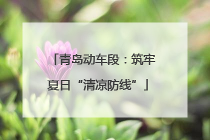 青岛动车段：筑牢夏日“清凉防线”