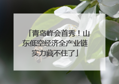 青岛峰会首秀！山东低空经济全产业链实力藏不住了