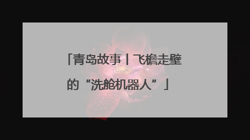 青岛故事丨飞檐走壁的“洗舱机器人”