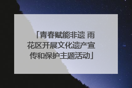 青春赋能非遗 雨花区开展文化遗产宣传和保护主题活动