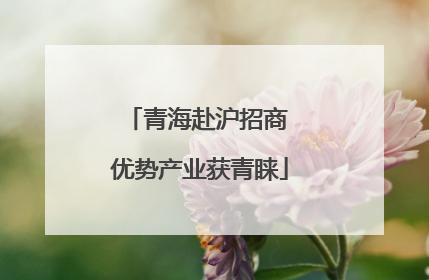 青海赴沪招商 优势产业获青睐