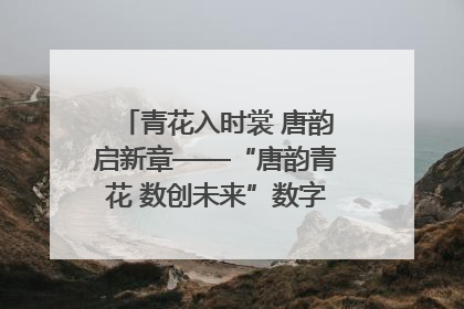 青花入时裳 唐韵启新章——“唐韵青花 数创未来”数字文创设计大赛启幕