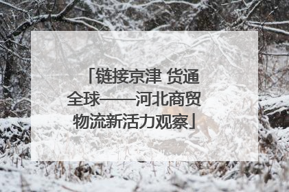 链接京津 货通全球——河北商贸物流新活力观察
