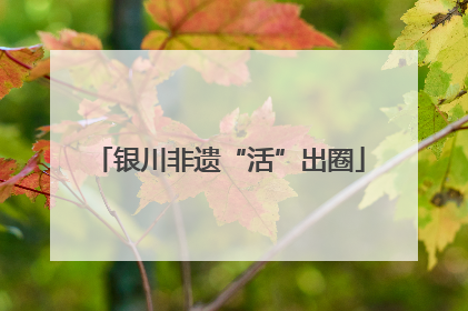 银川非遗“活”出圈