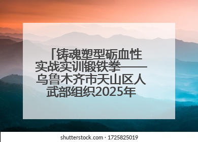 铸魂塑型砺血性 实战实训锻铁拳——乌鲁木齐市天山区人武部组织2025年度民兵集中轮训