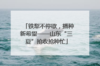 铁犁不停歇，播种新希望——山东“三夏”抢收抢种忙