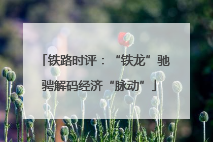 铁路时评：“铁龙”驰骋解码经济“脉动”