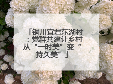 铜川宜君东湖村：党群共建让乡村从“一时美”变“持久美”