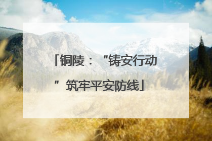 铜陵：“铸安行动”筑牢平安防线