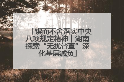 锲而不舍落实中央八项规定精神丨湖南探索“无扰督查”深化基层减负