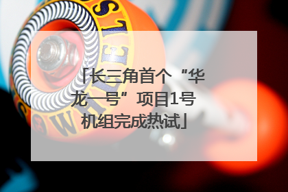 长三角首个“华龙一号”项目1号机组完成热试