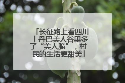 长征路上看四川丨丹巴美人谷里多了“美人脆”，村民的生活更甜美