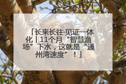 长来长往·见证一体化丨11个月“智慧渔场”下水，这就是“通州湾速度”！