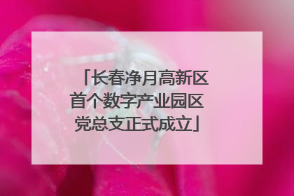 长春净月高新区首个数字产业园区党总支正式成立