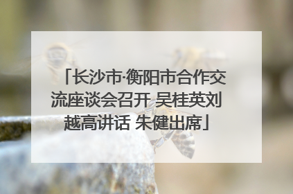长沙市·衡阳市合作交流座谈会召开 吴桂英刘越高讲话 朱健出席
