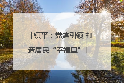 镇平：党建引领 打造居民“幸福里”